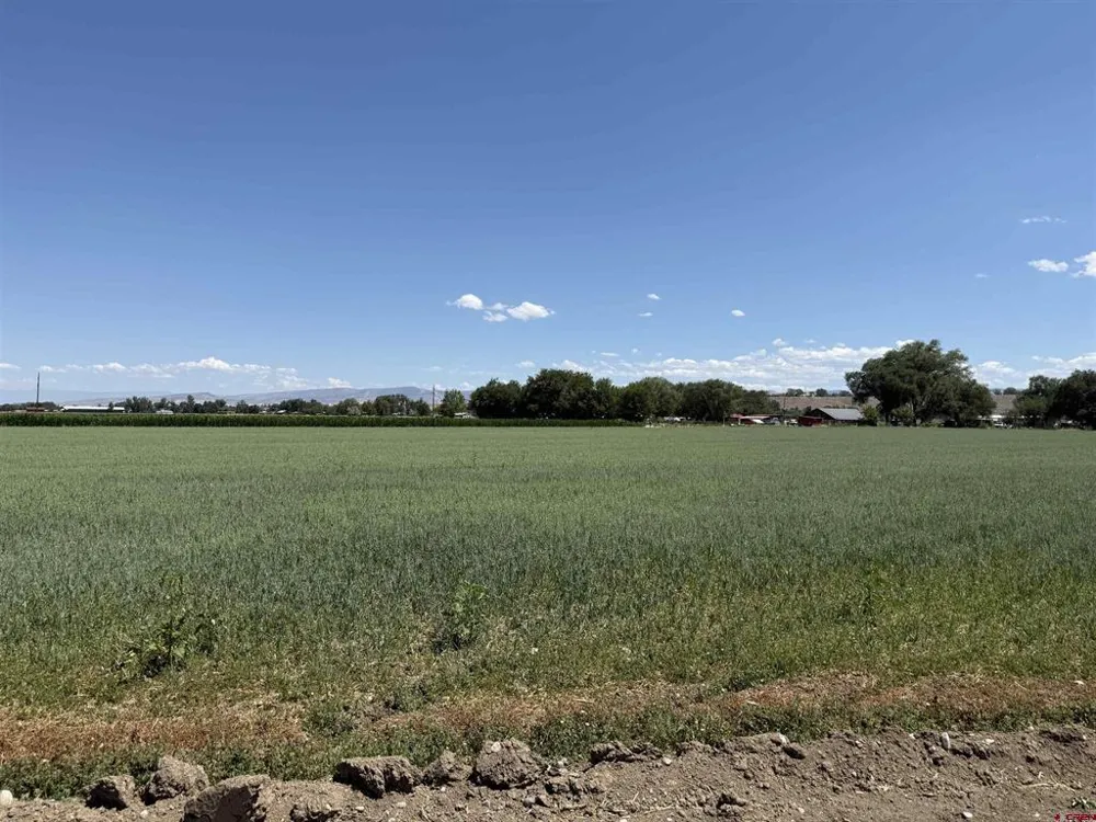 Orange Rd and 6400 Rd Montrose, CO 81403