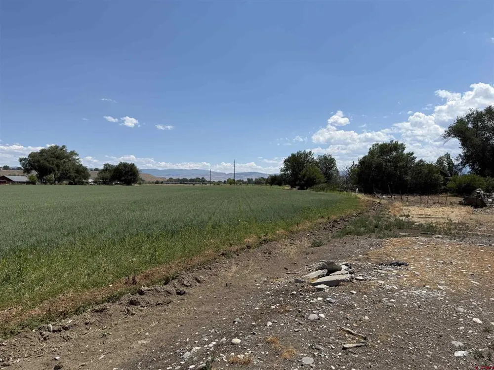 Orange Rd and 6400 Rd Montrose, CO 81403