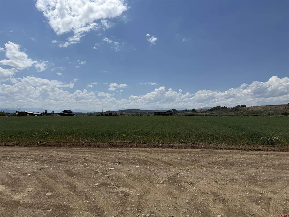 Orange Rd and 6400 Rd Montrose, CO 81403