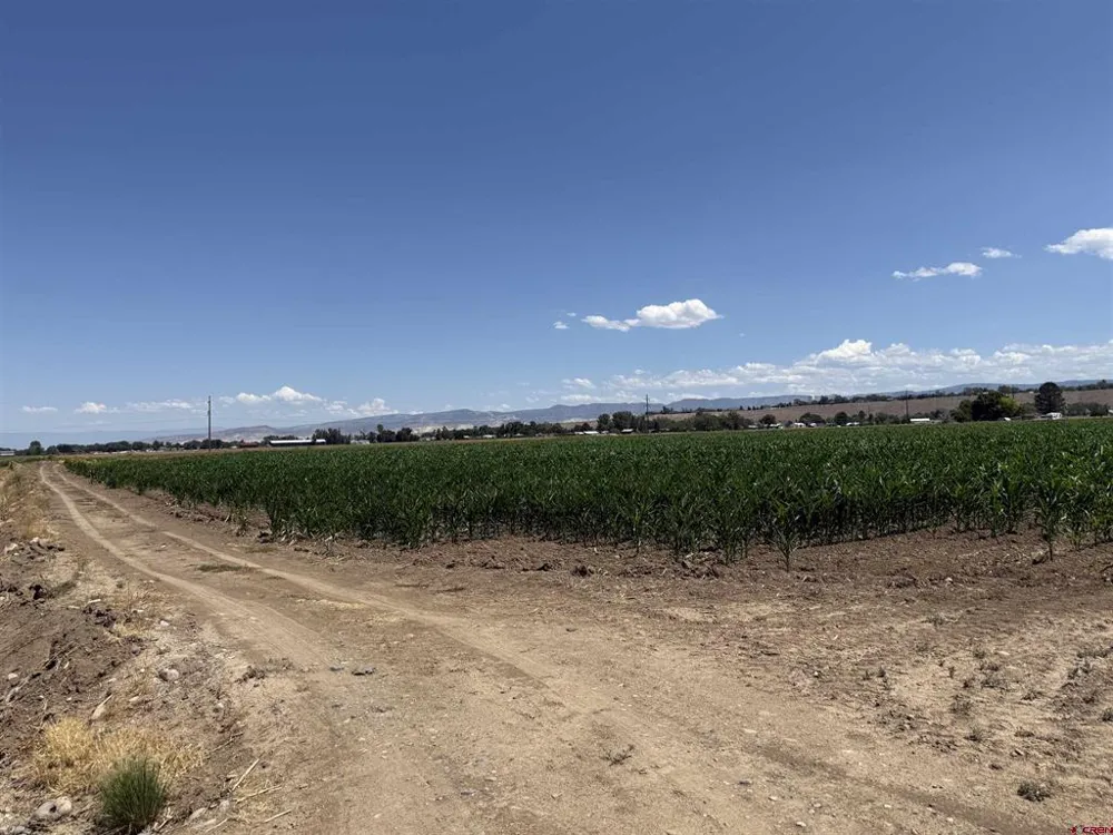 Orange Rd and 6400 Rd Montrose, CO 81403