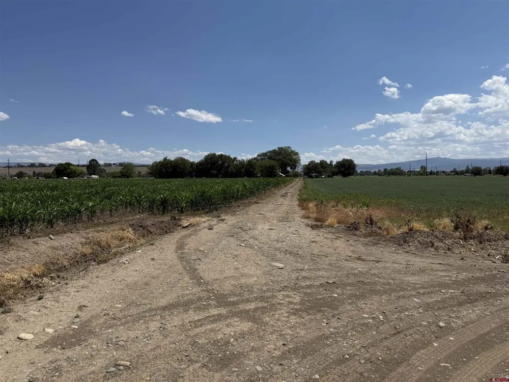 Orange Rd and 6400 Rd Montrose, CO 81403