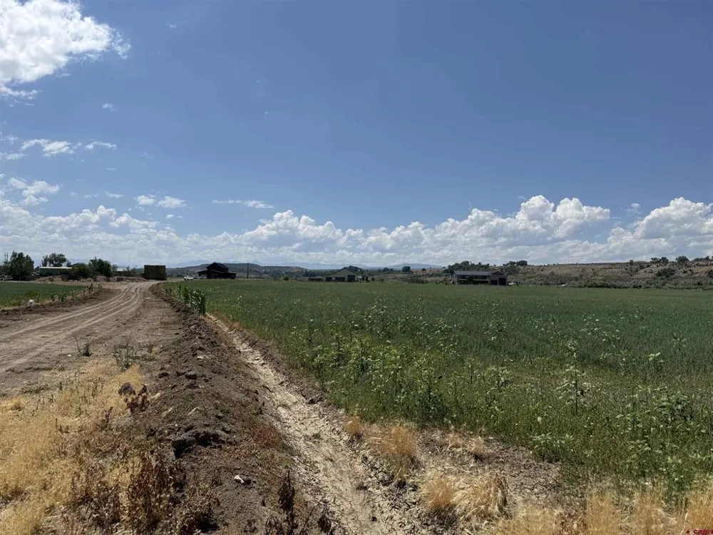 Orange Rd and 6400 Rd Montrose, CO 81403