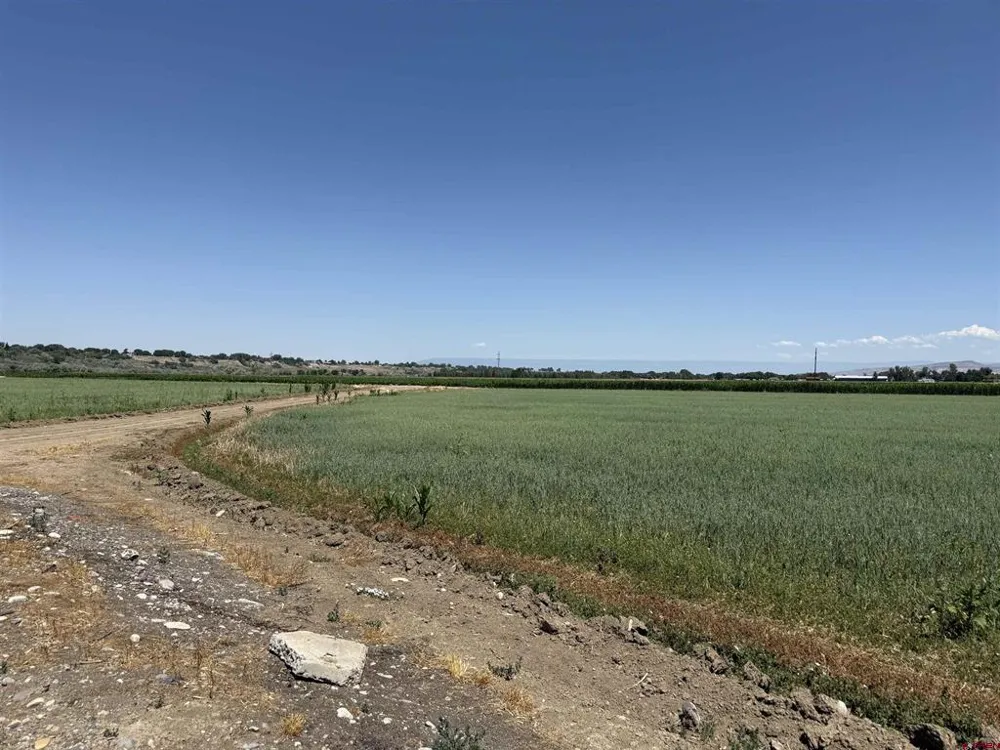 Orange Rd and 6400 Rd Montrose, CO 81403