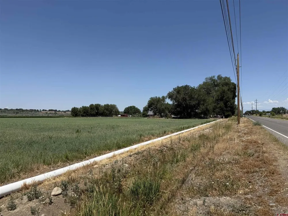Orange Rd and 6400 Rd Montrose, CO 81403