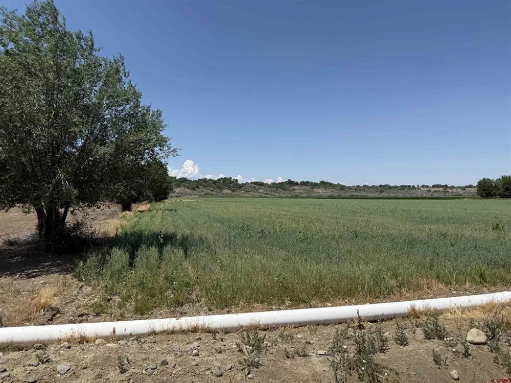 Orange Rd and 6400 Rd Montrose, CO 81403