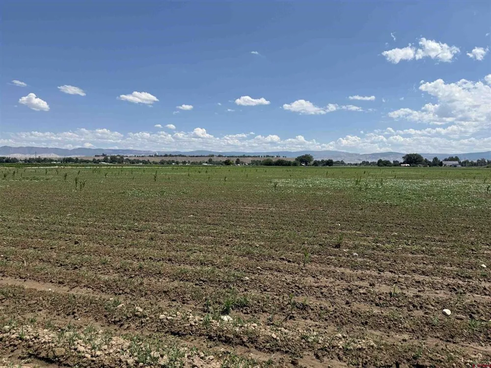 Orange Rd and 6400 Rd Montrose, CO 81403