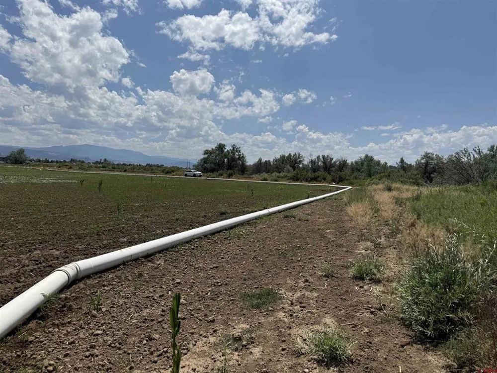 Orange Rd and 6400 Rd Montrose, CO 81403