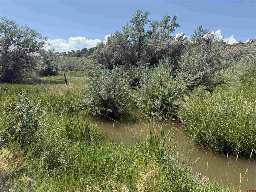 Orange Rd and 6400 Rd Montrose, CO 81403