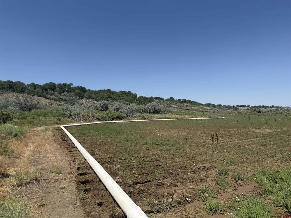 Orange Rd and 6400 Rd Montrose, CO 81403