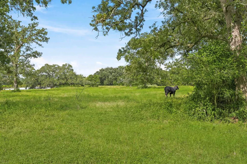1736 County Road 182 Hallettsville, TX 77964