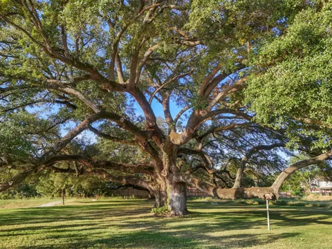 21803 Red Oak View Court