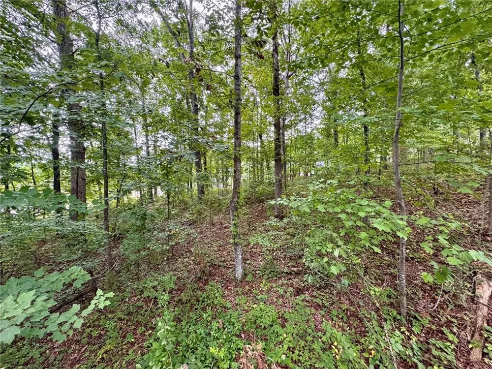 4205 Loftwood Drive Cohutta, GA 30710