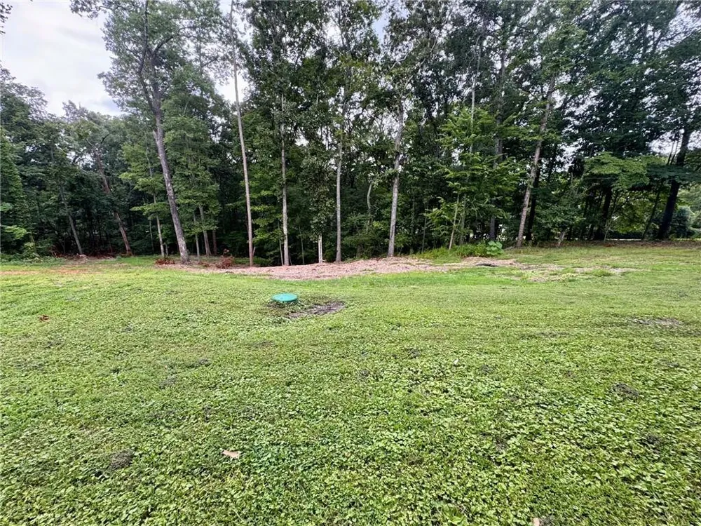 4205 Loftwood Drive Cohutta, GA 30710