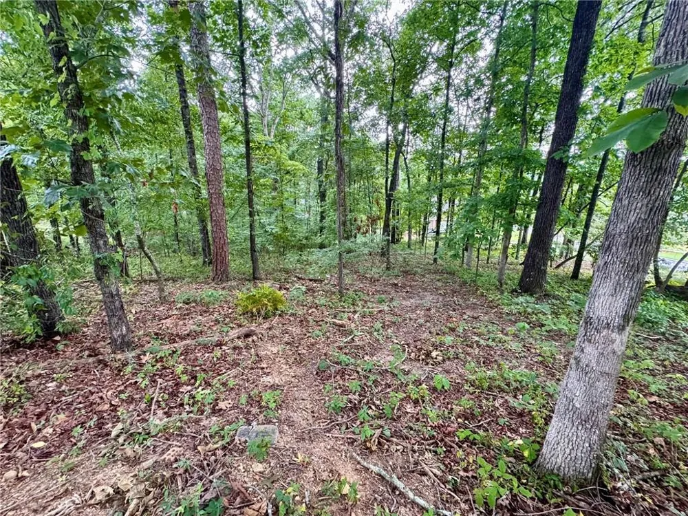 4205 Loftwood Drive Cohutta, GA 30710
