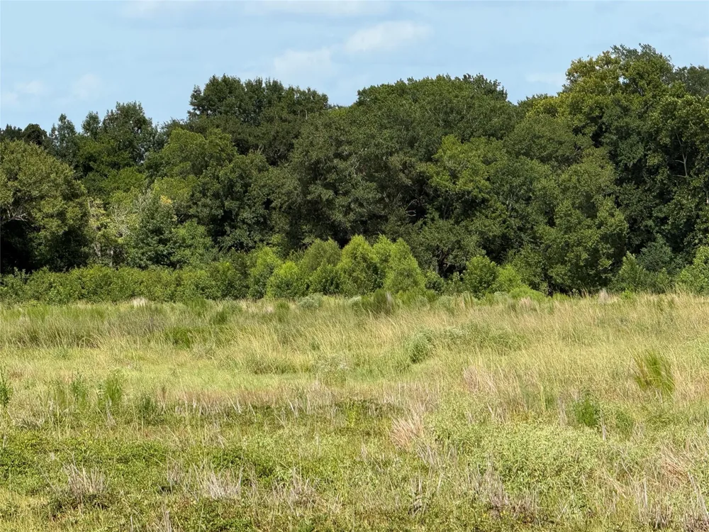 771 Northview Trail Crockett, TX 75835