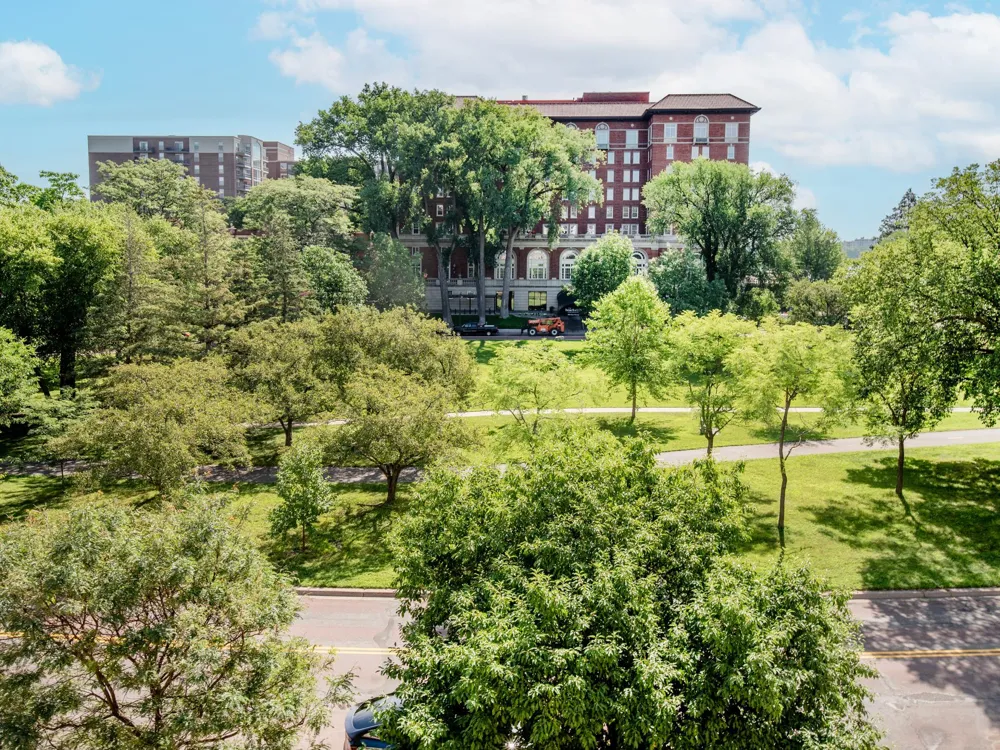 2928 Dean Parkway #4B Minneapolis, MN 55416
