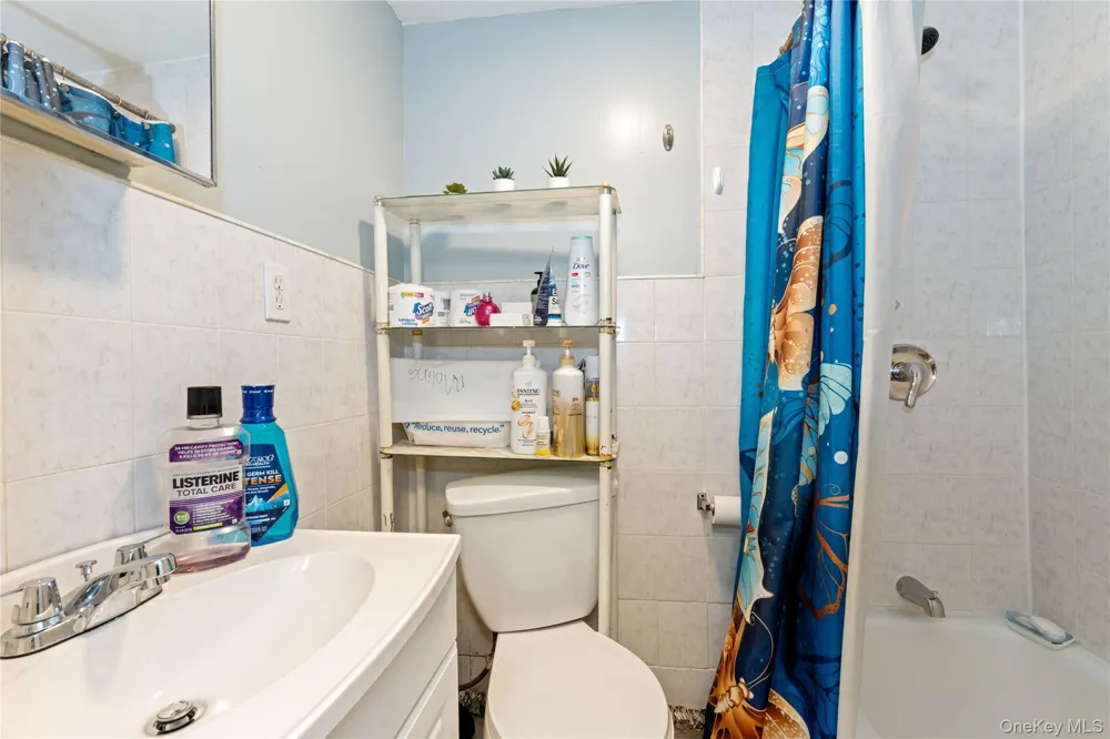 8804 209th Street Queens Village, NY 11427