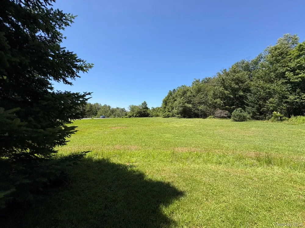 909 County Road 93 Roscoe, NY 12776