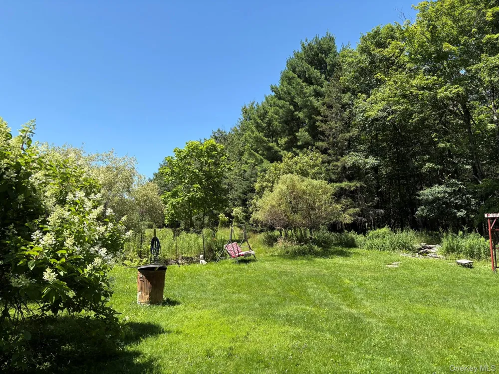909 County Road 93 Roscoe, NY 12776
