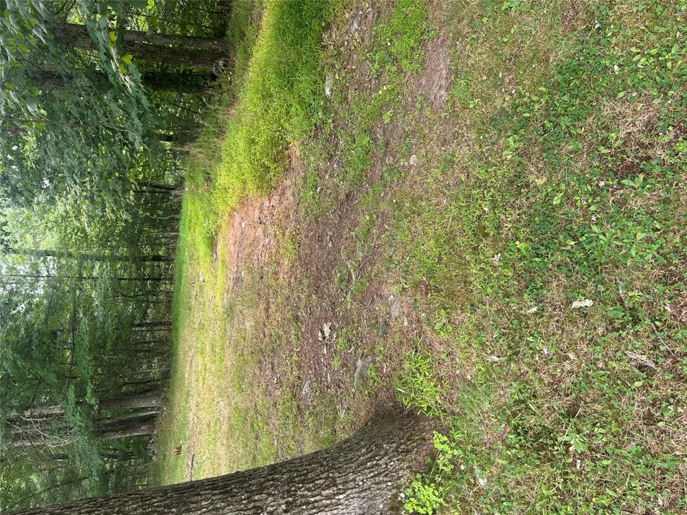 sunset Avenue Napanoch, NY 12489