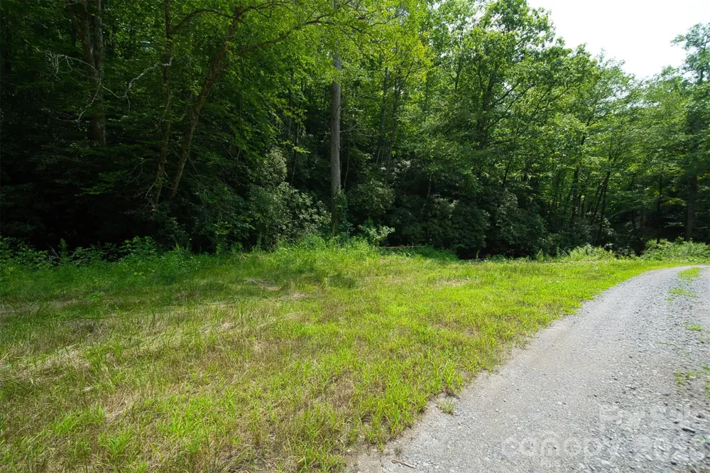 35 Lower Sand Branch Road Black Mountain, NC 28711