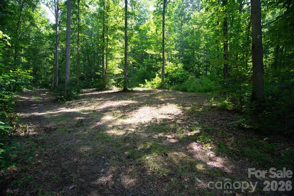 35 Lower Sand Branch Road Black Mountain, NC 28711