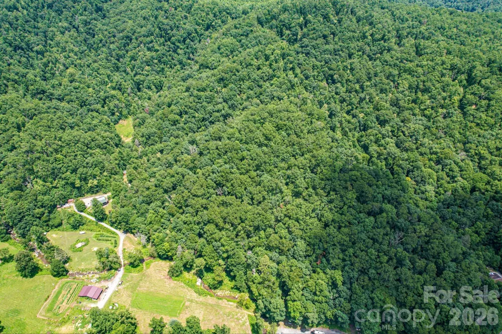35 Lower Sand Branch Road Black Mountain, NC 28711