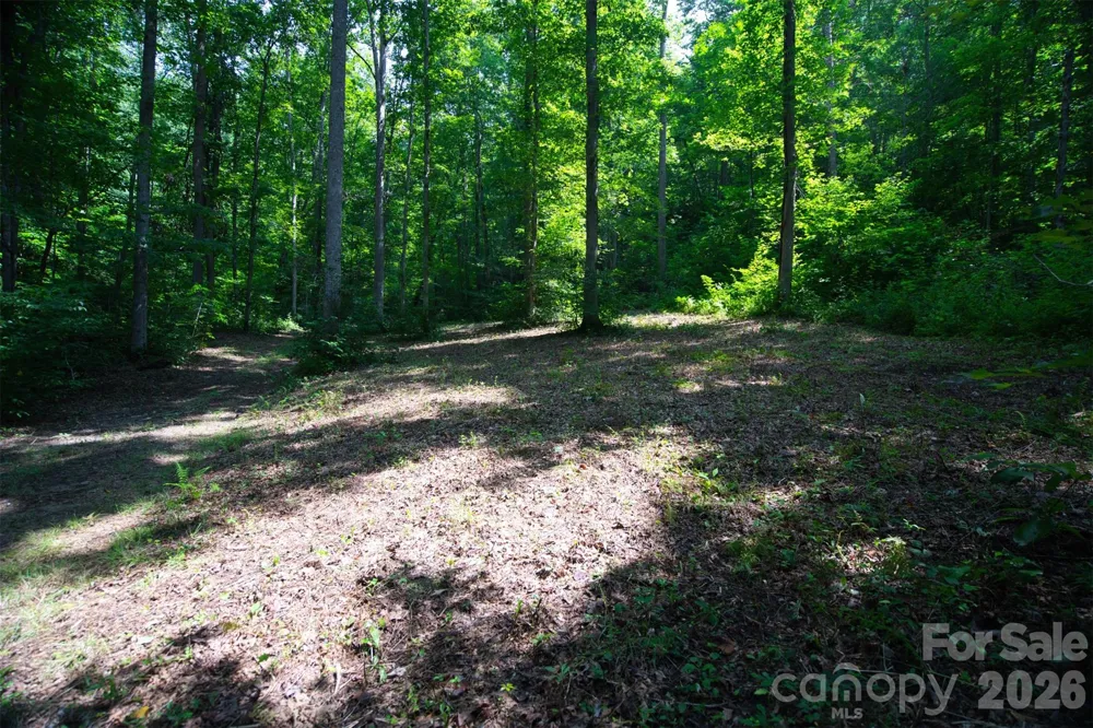 35 Lower Sand Branch Road Black Mountain, NC 28711