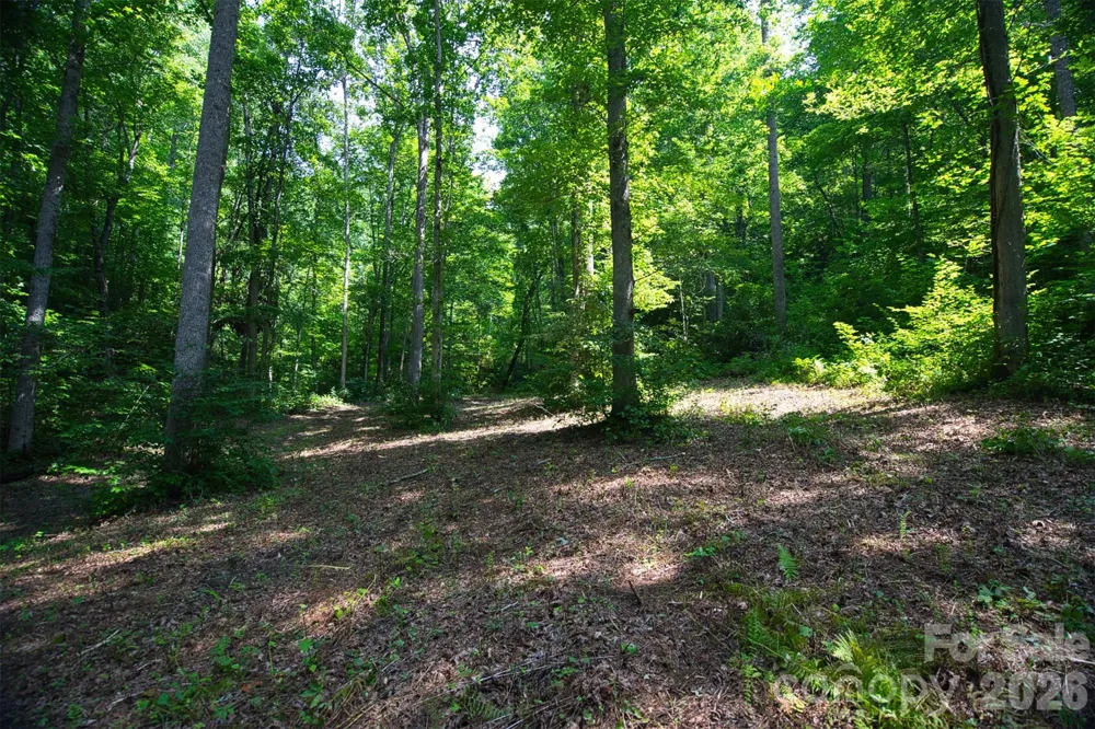 35 Lower Sand Branch Road Black Mountain, NC 28711