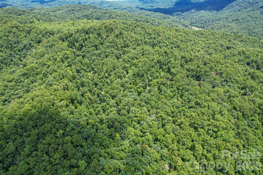 35 Lower Sand Branch Road Black Mountain, NC 28711