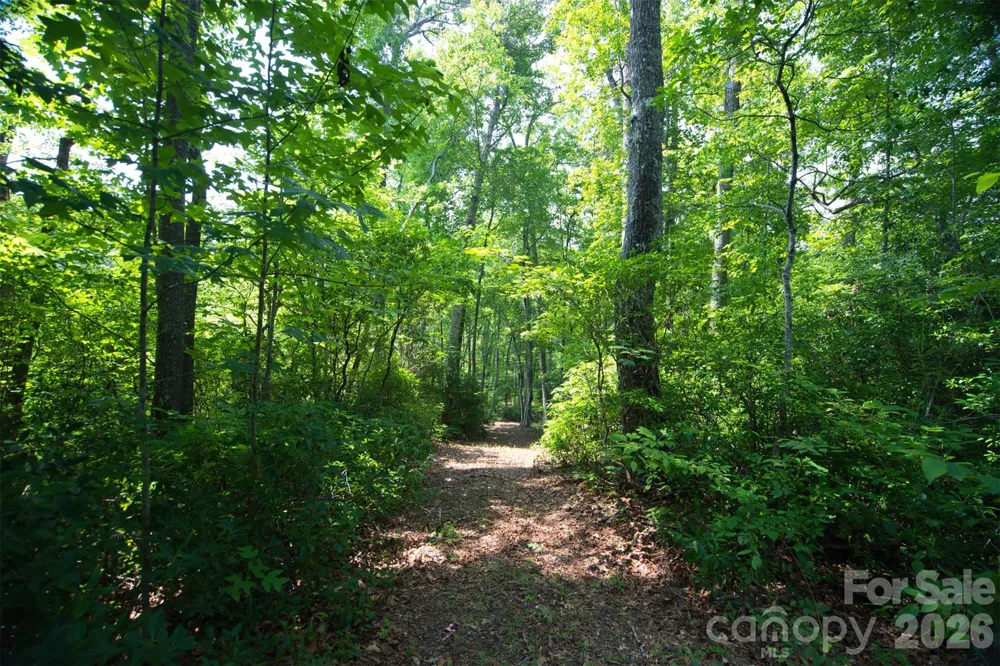 35 Lower Sand Branch Road Black Mountain, NC 28711