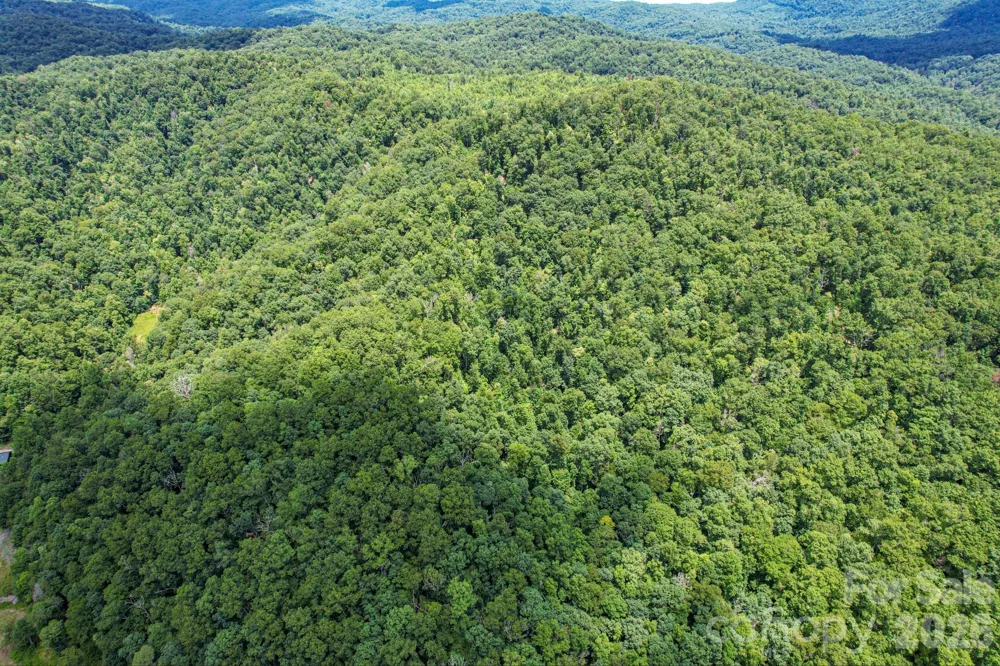 35 Lower Sand Branch Road Black Mountain, NC 28711