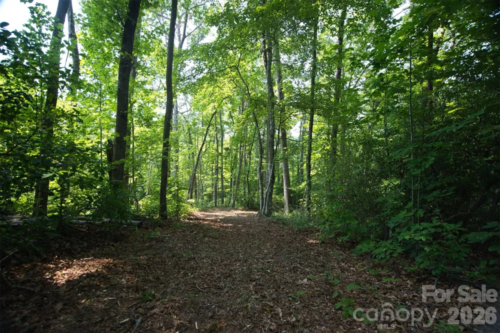 35 Lower Sand Branch Road Black Mountain, NC 28711