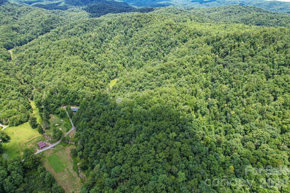 35 Lower Sand Branch Road Black Mountain, NC 28711
