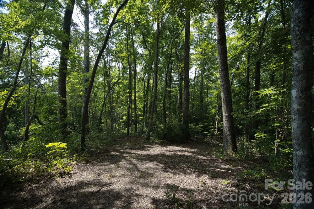 35 Lower Sand Branch Road Black Mountain, NC 28711