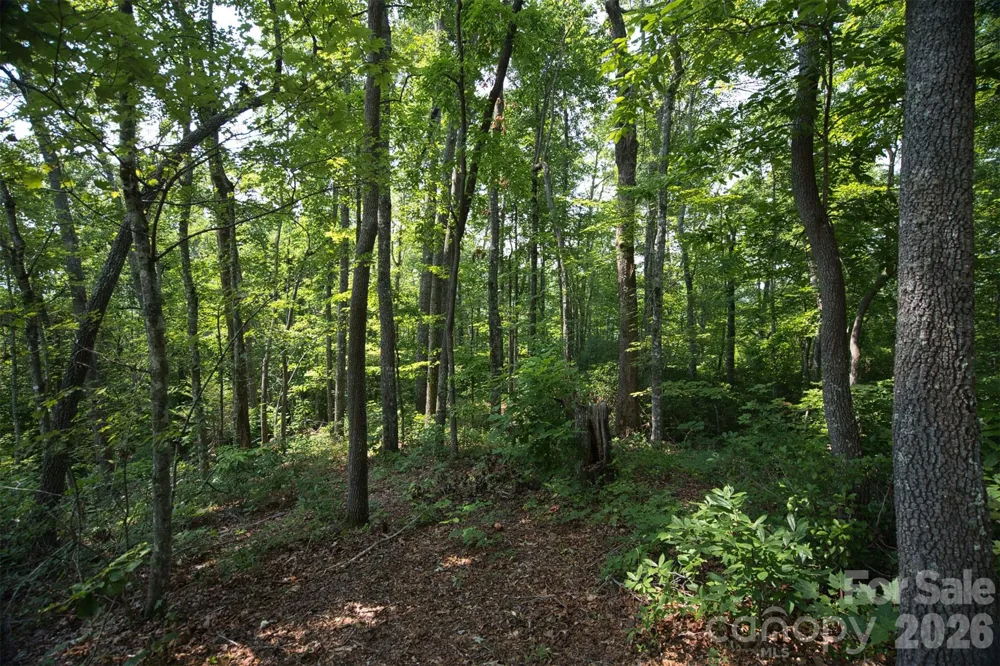 35 Lower Sand Branch Road Black Mountain, NC 28711