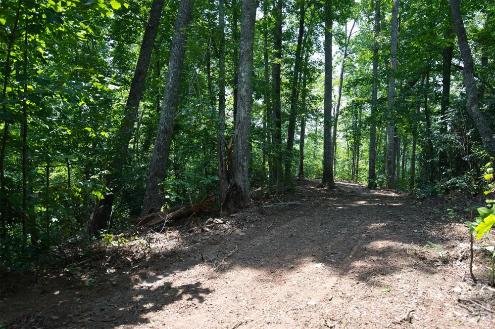 35 Lower Sand Branch Road Black Mountain, NC 28711