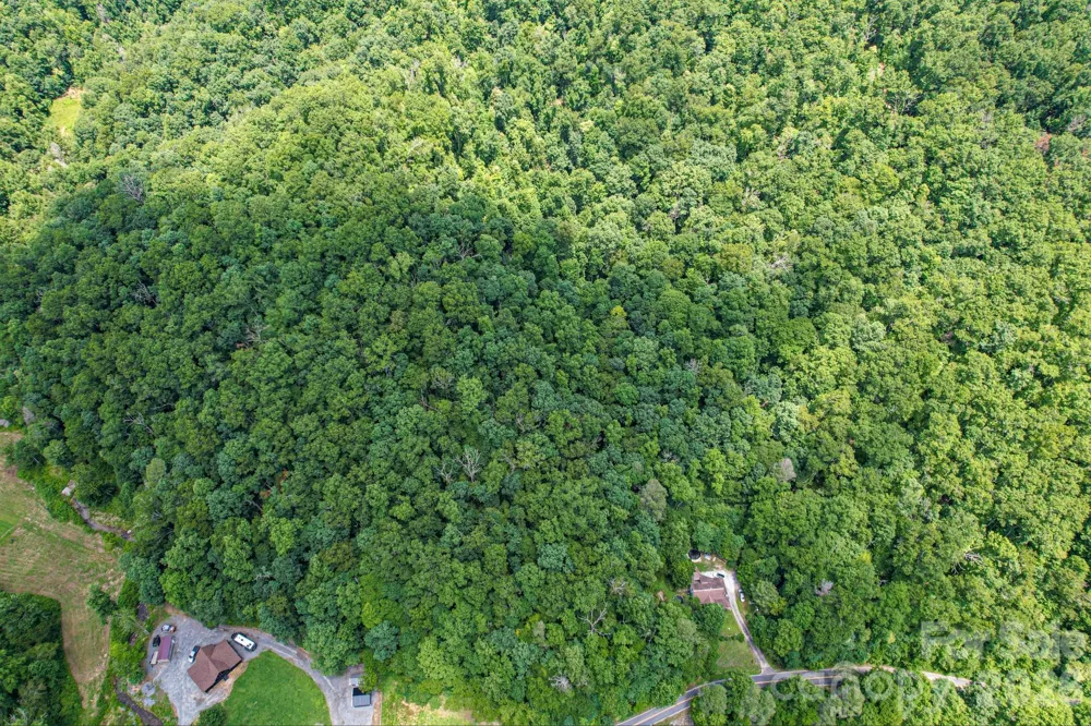 35 Lower Sand Branch Road Black Mountain, NC 28711