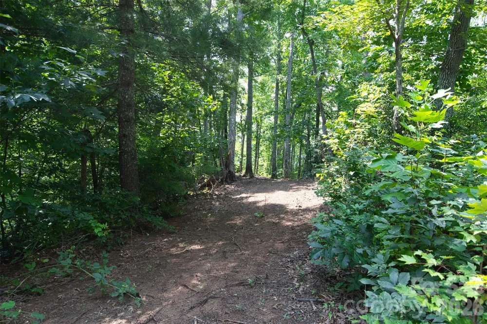 35 Lower Sand Branch Road Black Mountain, NC 28711