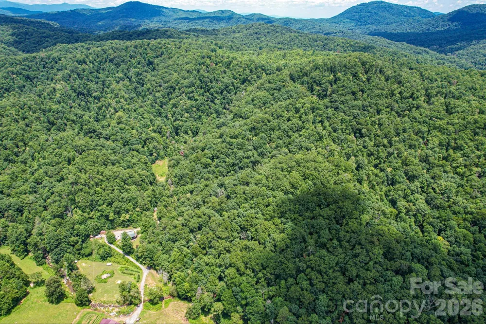 35 Lower Sand Branch Road Black Mountain, NC 28711