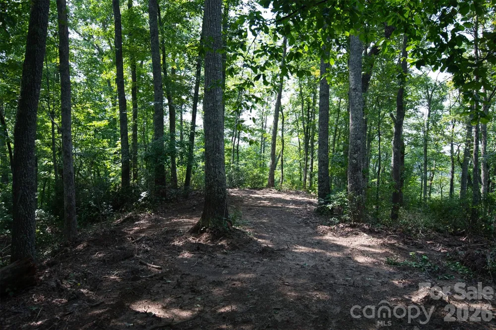 35 Lower Sand Branch Road Black Mountain, NC 28711