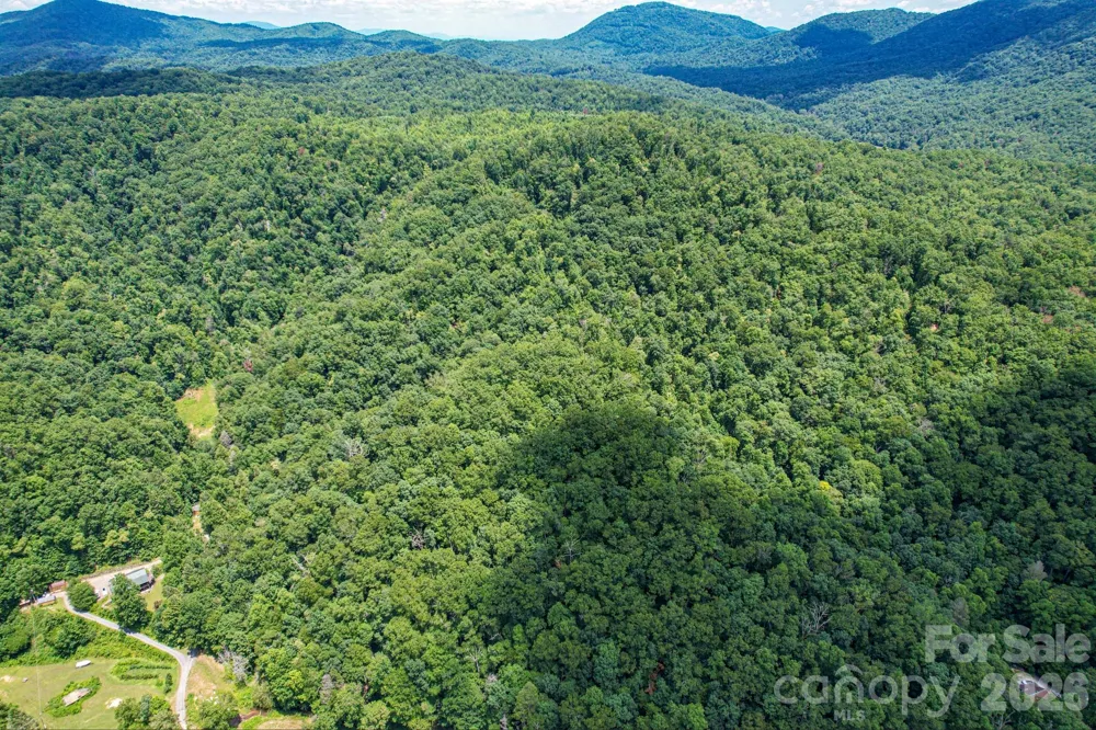 35 Lower Sand Branch Road Black Mountain, NC 28711