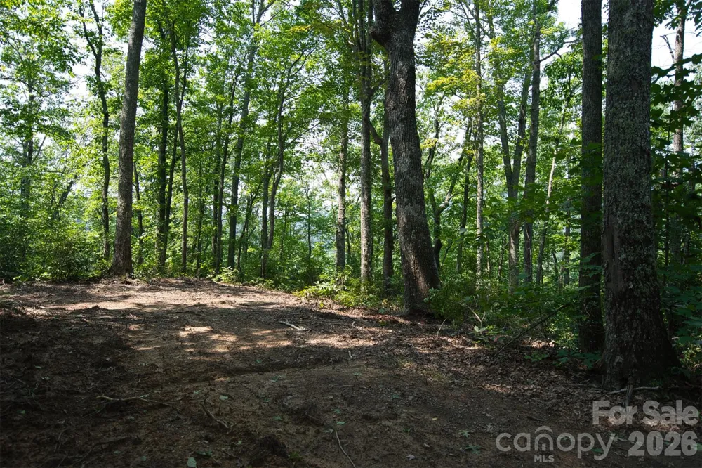 35 Lower Sand Branch Road Black Mountain, NC 28711