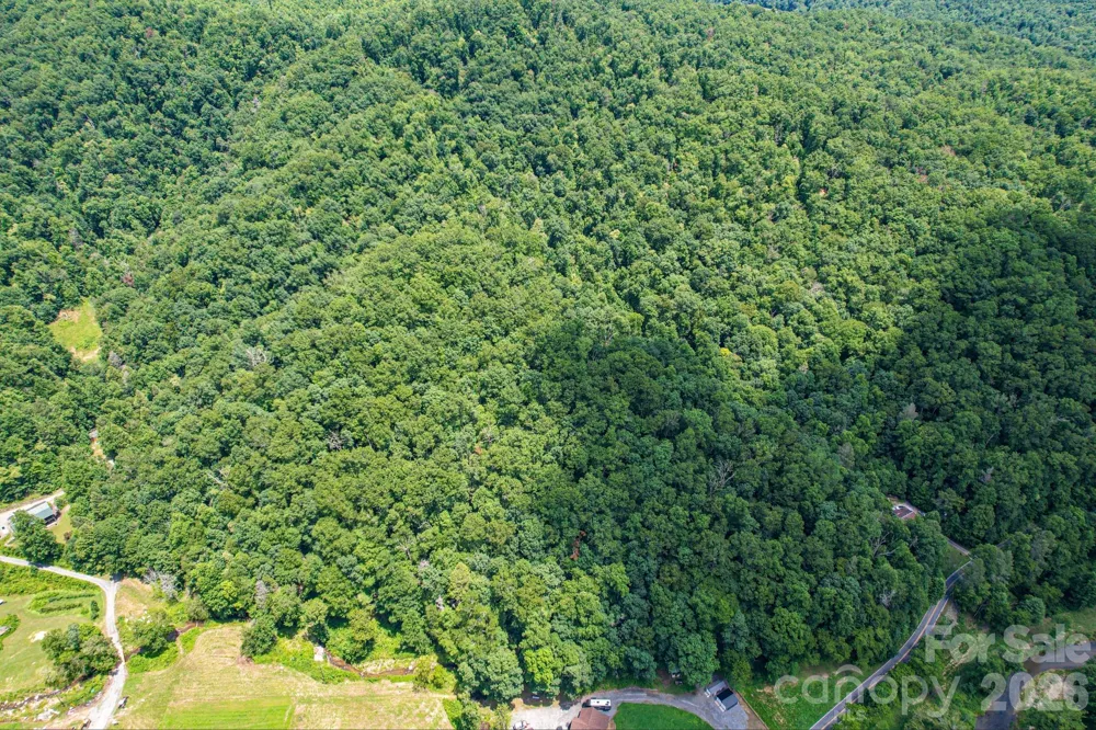 35 Lower Sand Branch Road Black Mountain, NC 28711
