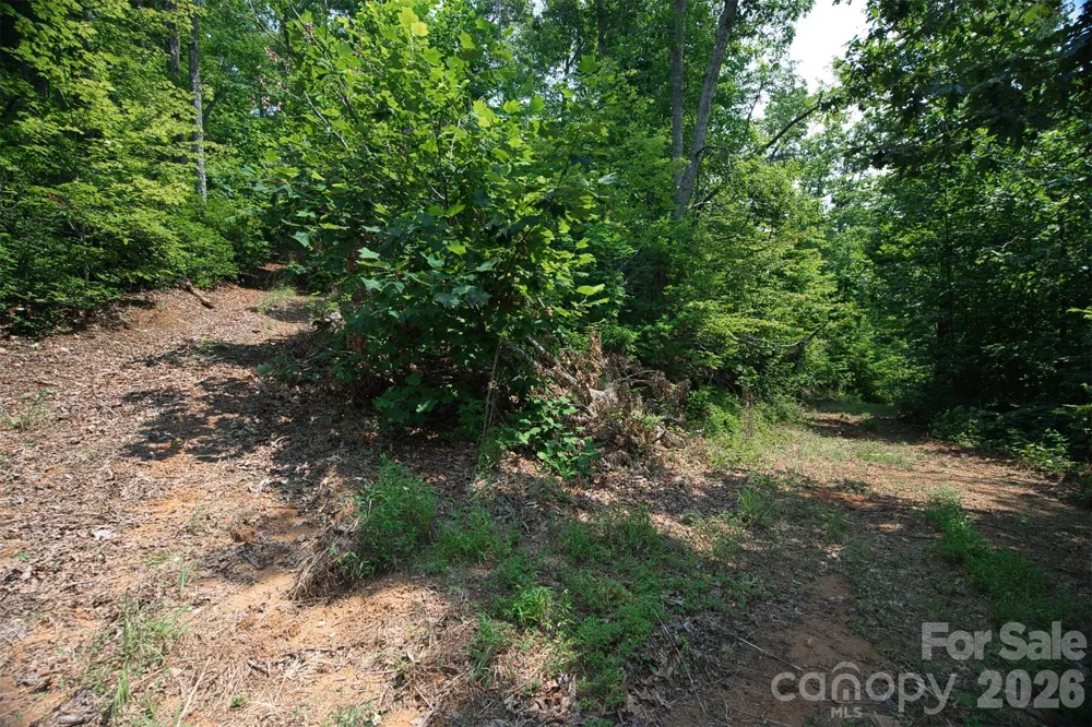 35 Lower Sand Branch Road Black Mountain, NC 28711