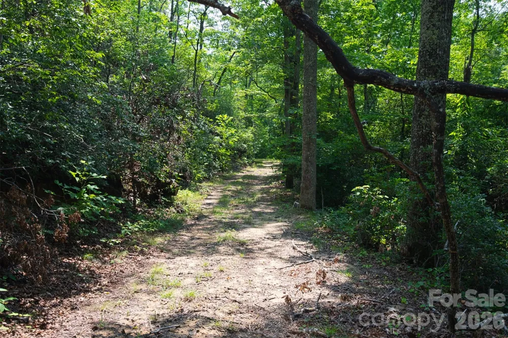 35 Lower Sand Branch Road Black Mountain, NC 28711