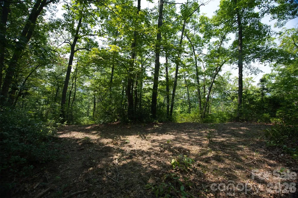 35 Lower Sand Branch Road Black Mountain, NC 28711