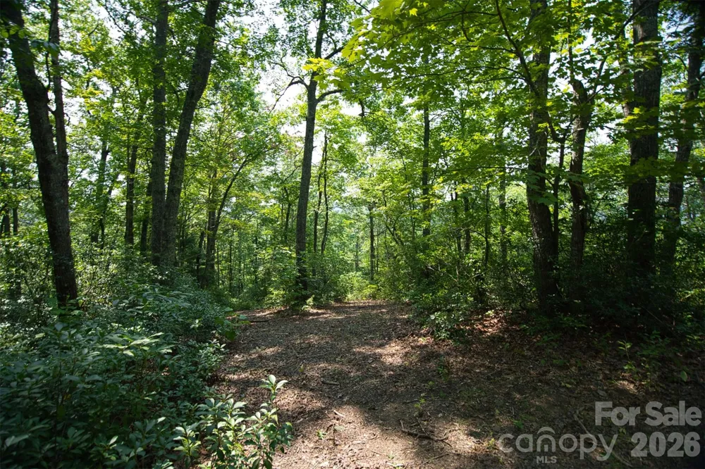 35 Lower Sand Branch Road Black Mountain, NC 28711