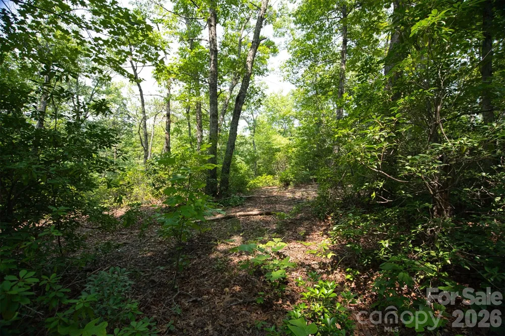 35 Lower Sand Branch Road Black Mountain, NC 28711