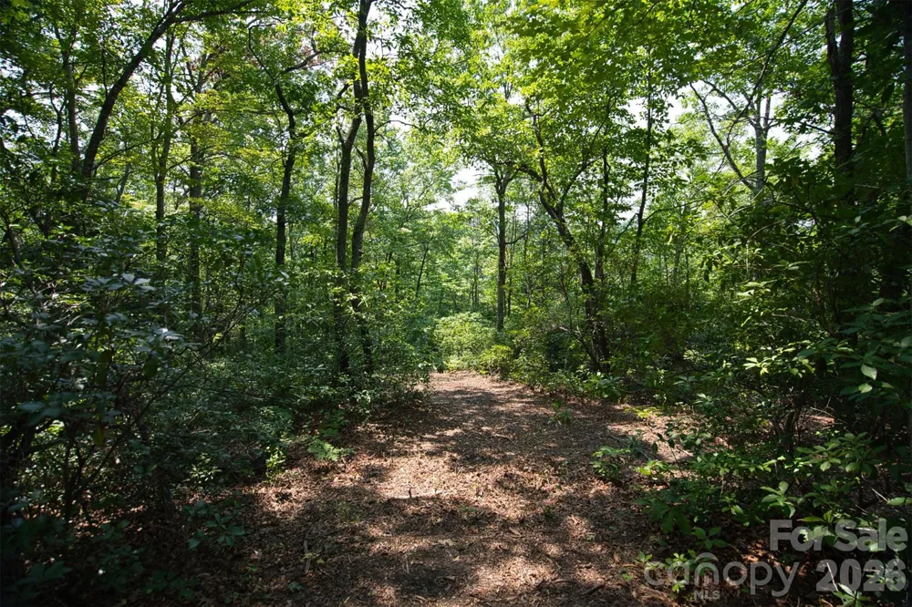 35 Lower Sand Branch Road Black Mountain, NC 28711
